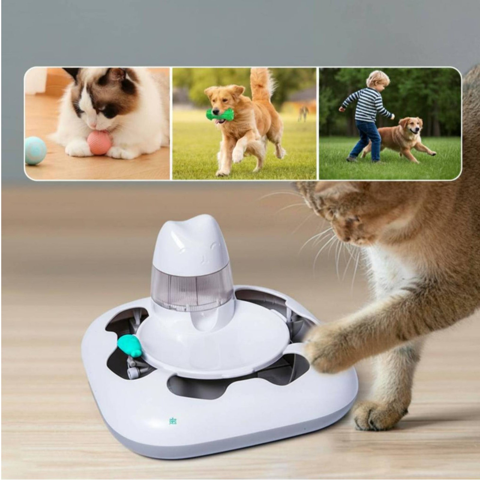 Cat Hunting Game Machine Inter - Hunting & Outdoor Supplies Vanderbijlpark Photos recension och pris